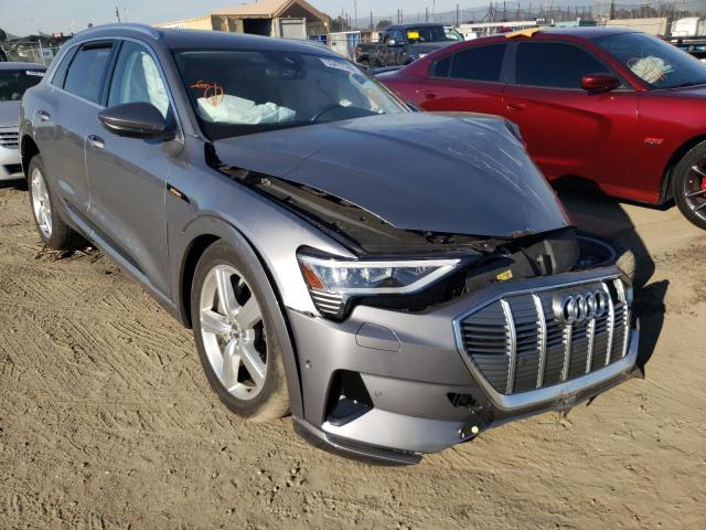 2019 Audi e-tron Pre