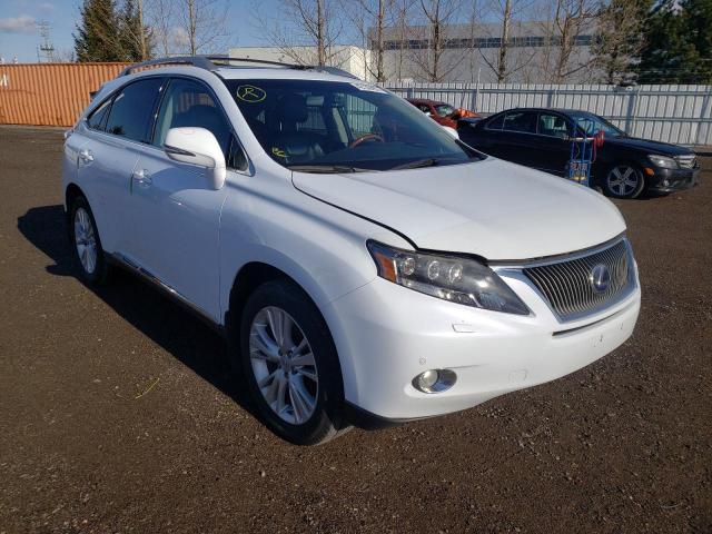 2010 Lexus Rx450