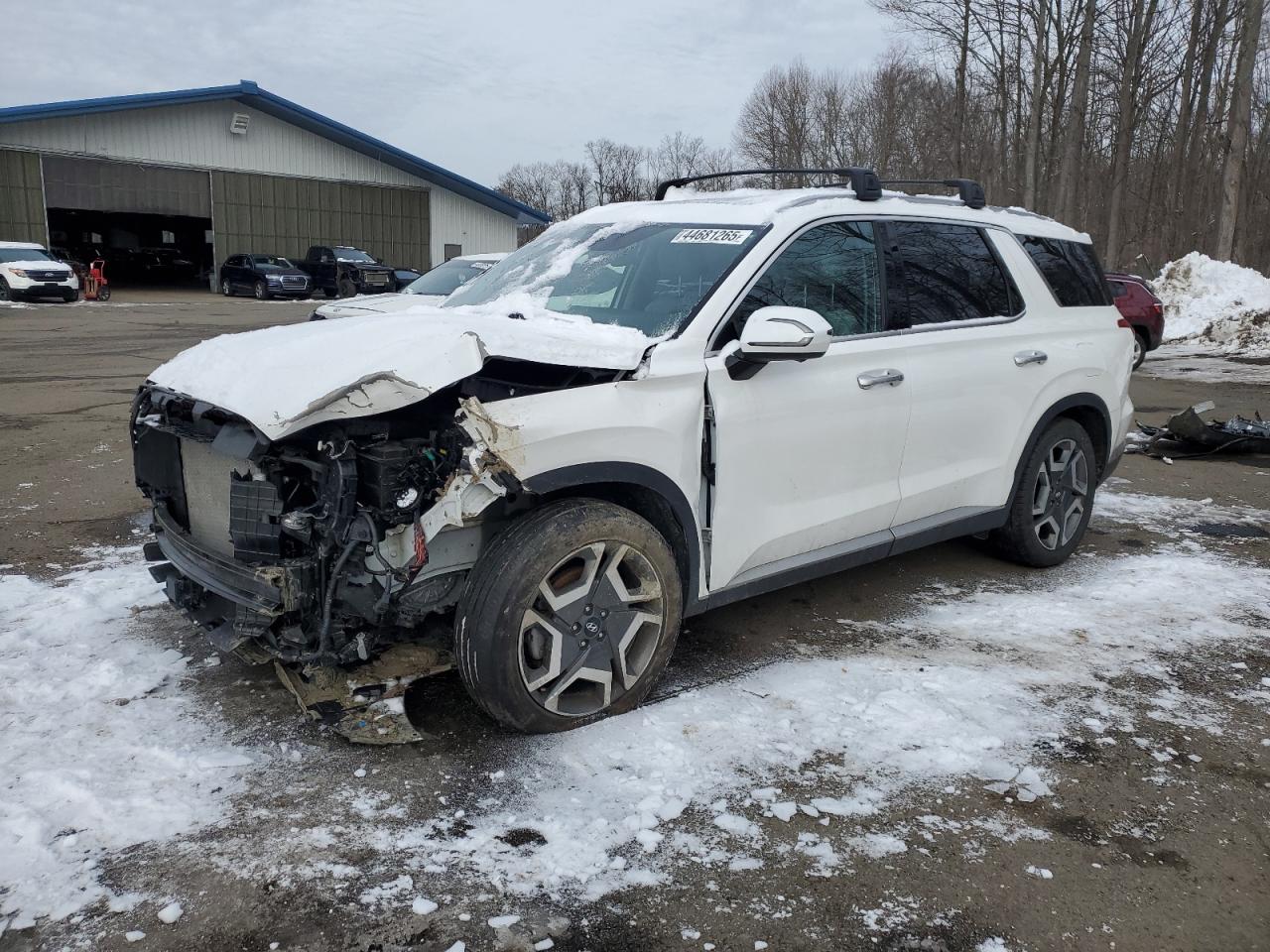 Hyundai Palisade sel premium
