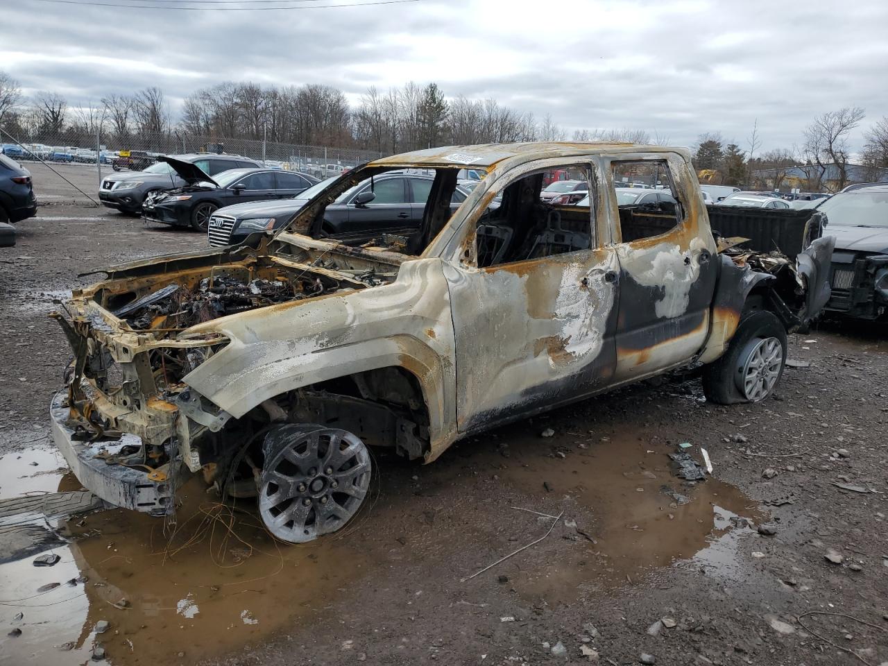 2024 Toyota Tacoma dou