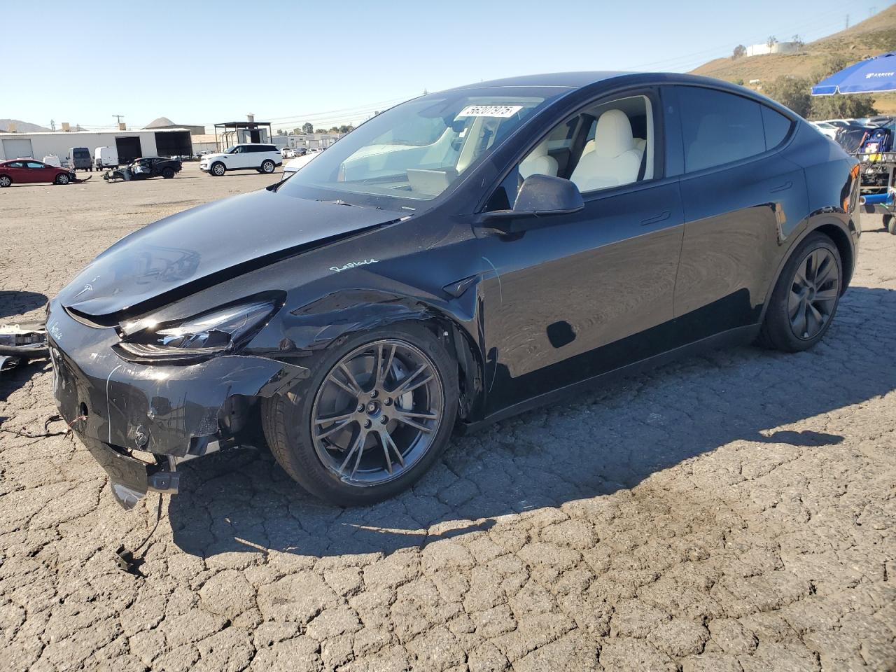 2025 Tesla Model y