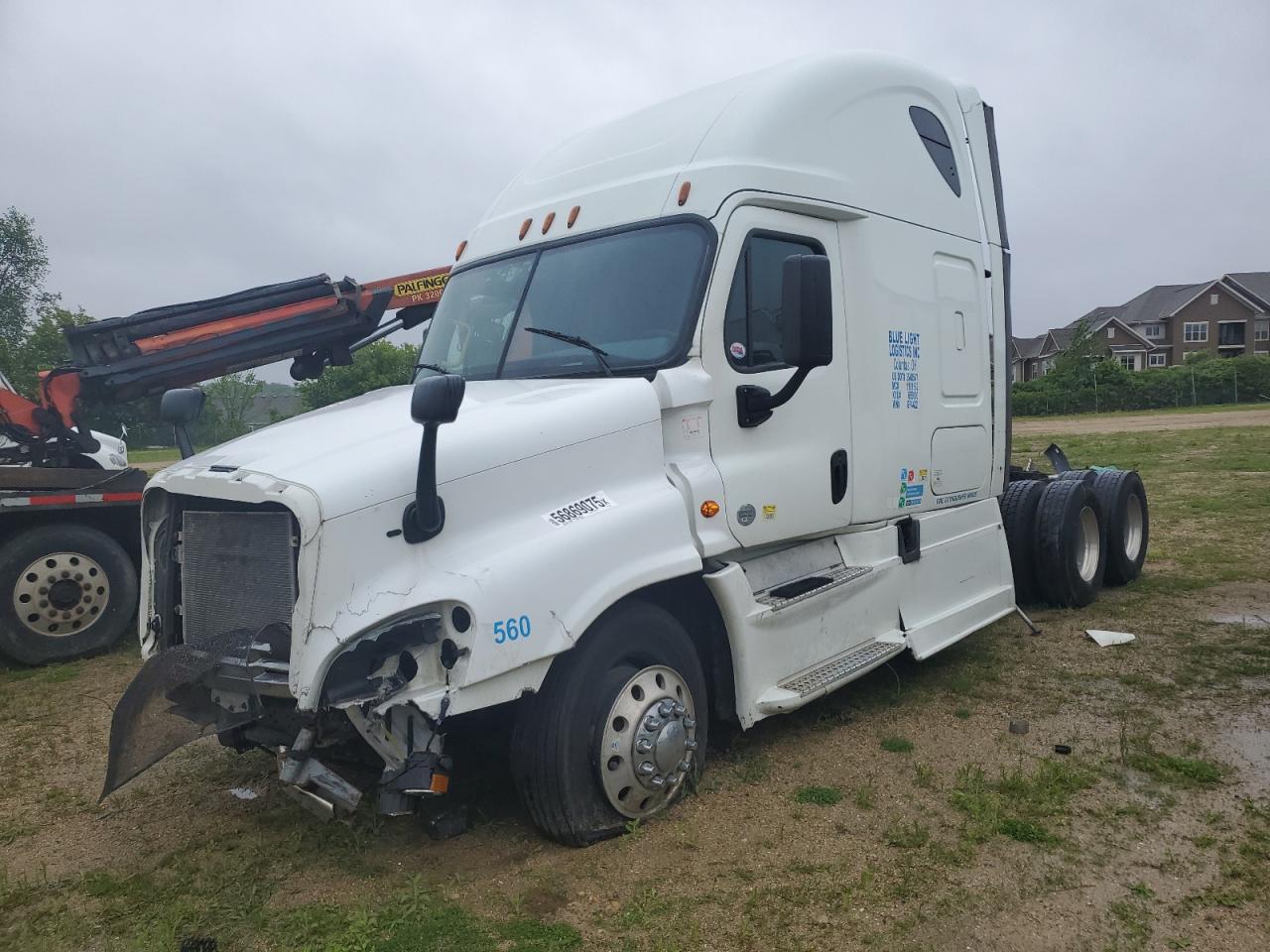 2016 Frei Cascadia 125