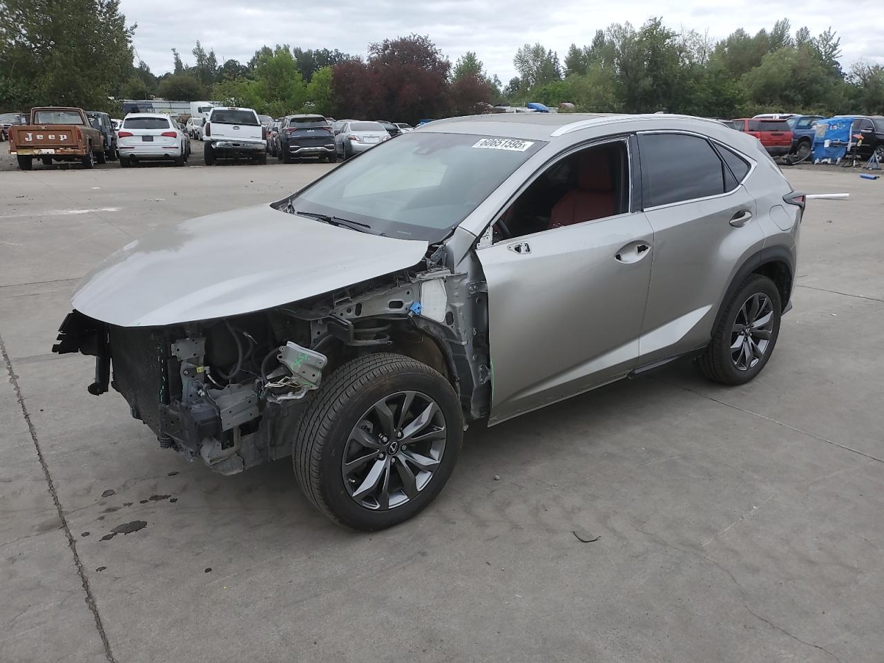 2018 Lexus Nx 300 bas