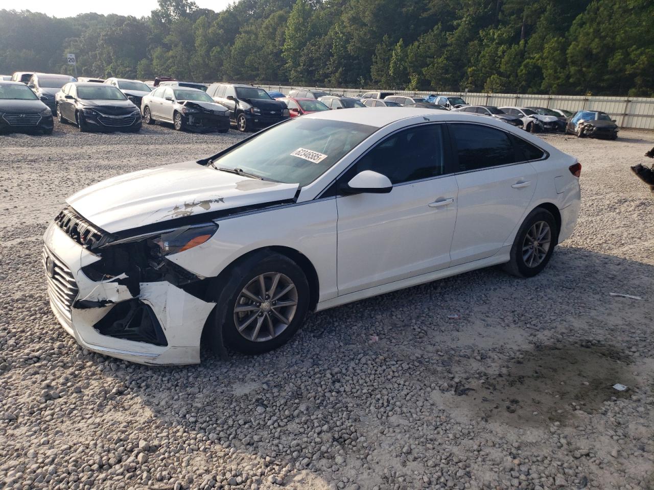 2019 Hyundai Sonata se