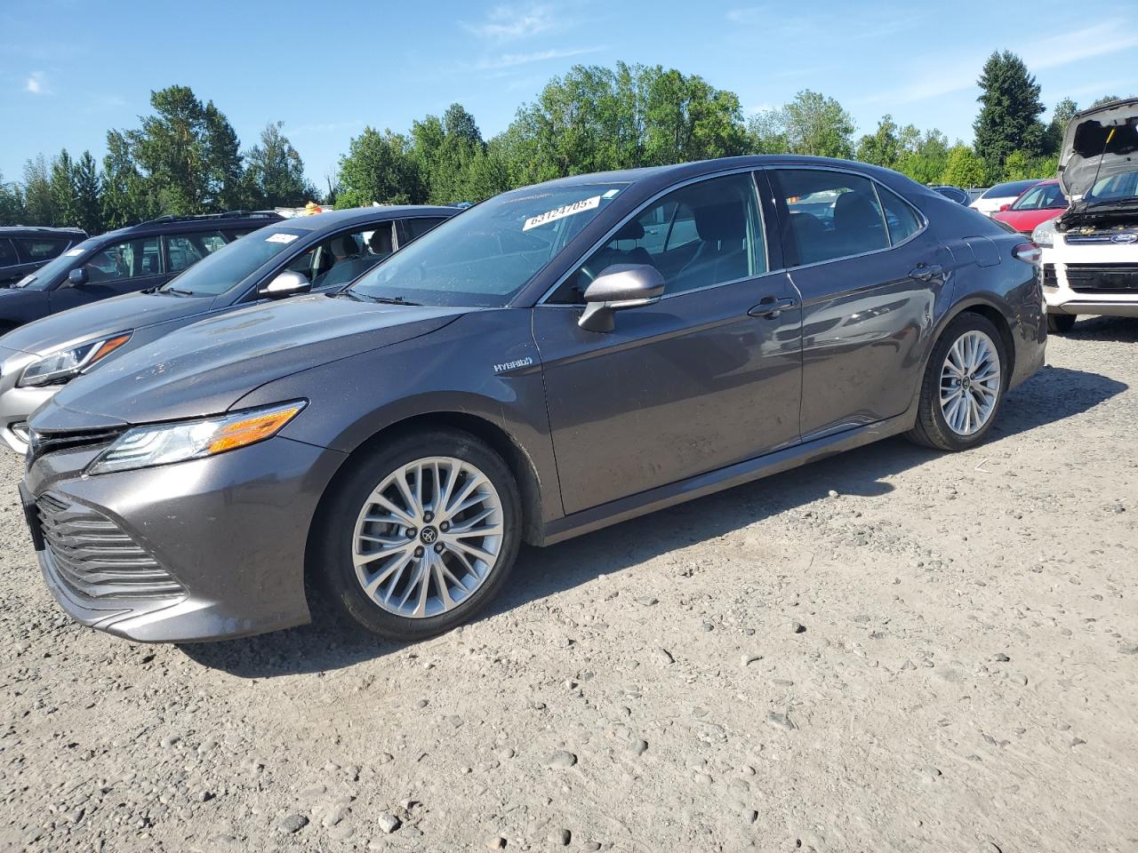2020 Toyota Camry xle