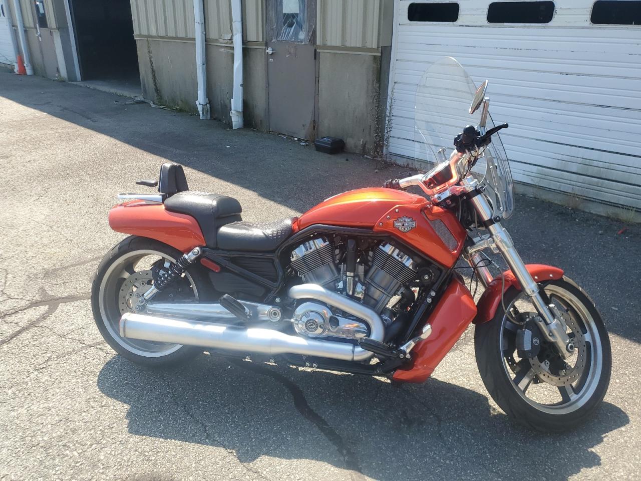 Harley-davidson Vrscf vrod muscle