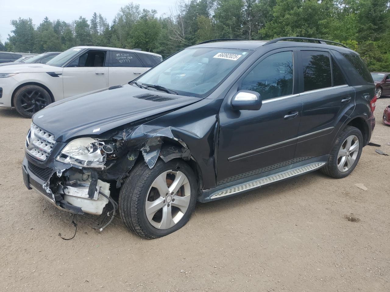 2010 Mercedes-benz Ml 350 blu