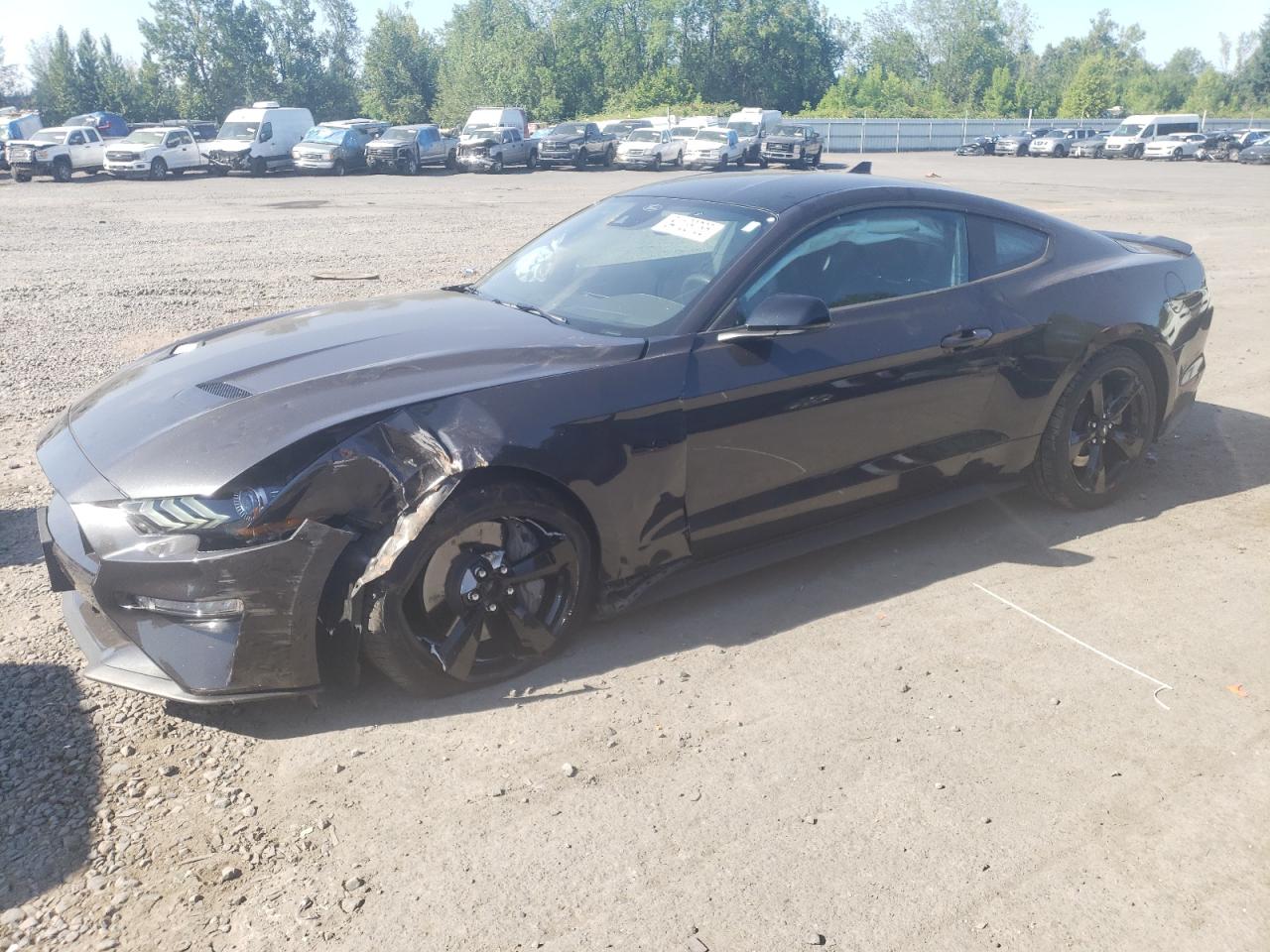 2023 Ford Mustang gt