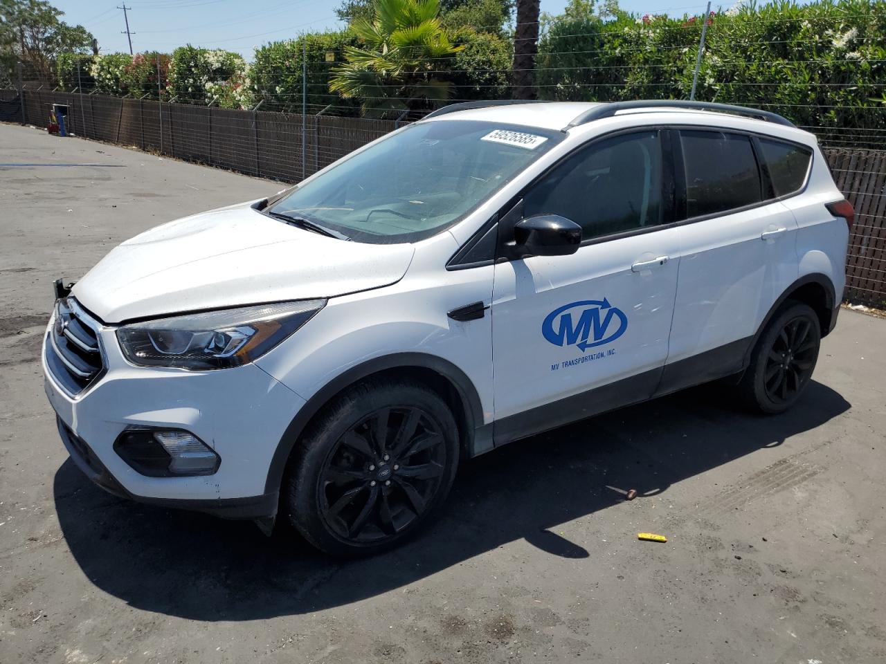 2019 Ford Escape se