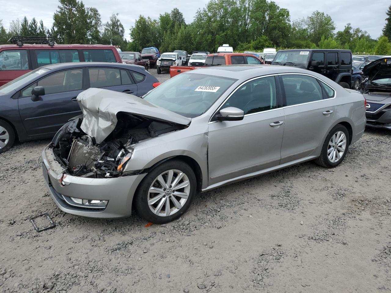 2013 Volkswagen Passat sel