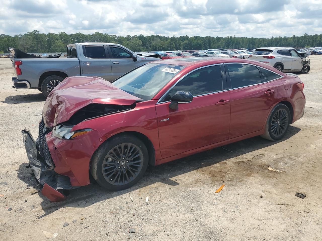 2019 Toyota Avalon xle