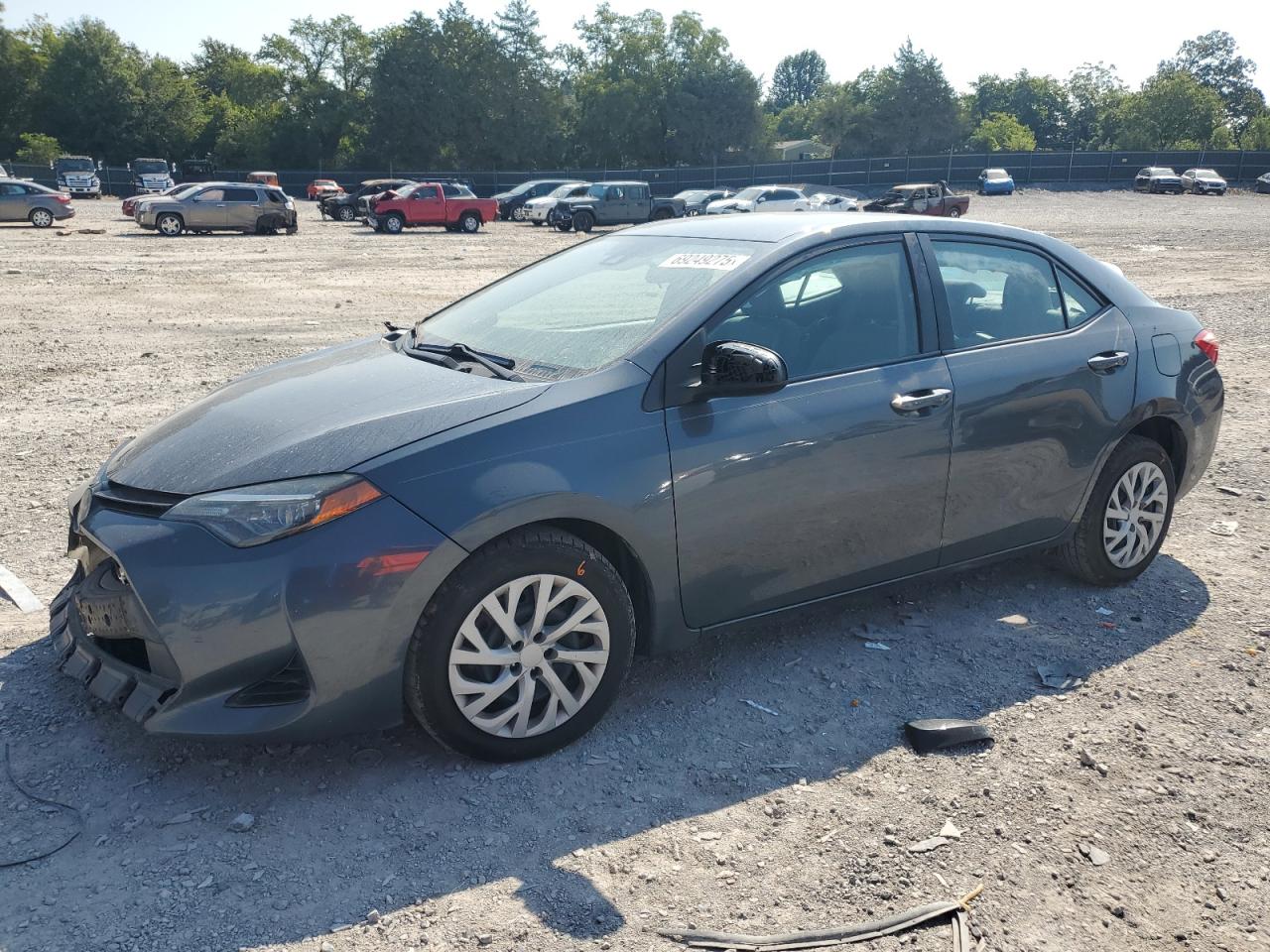 2019 Toyota Corolla l
