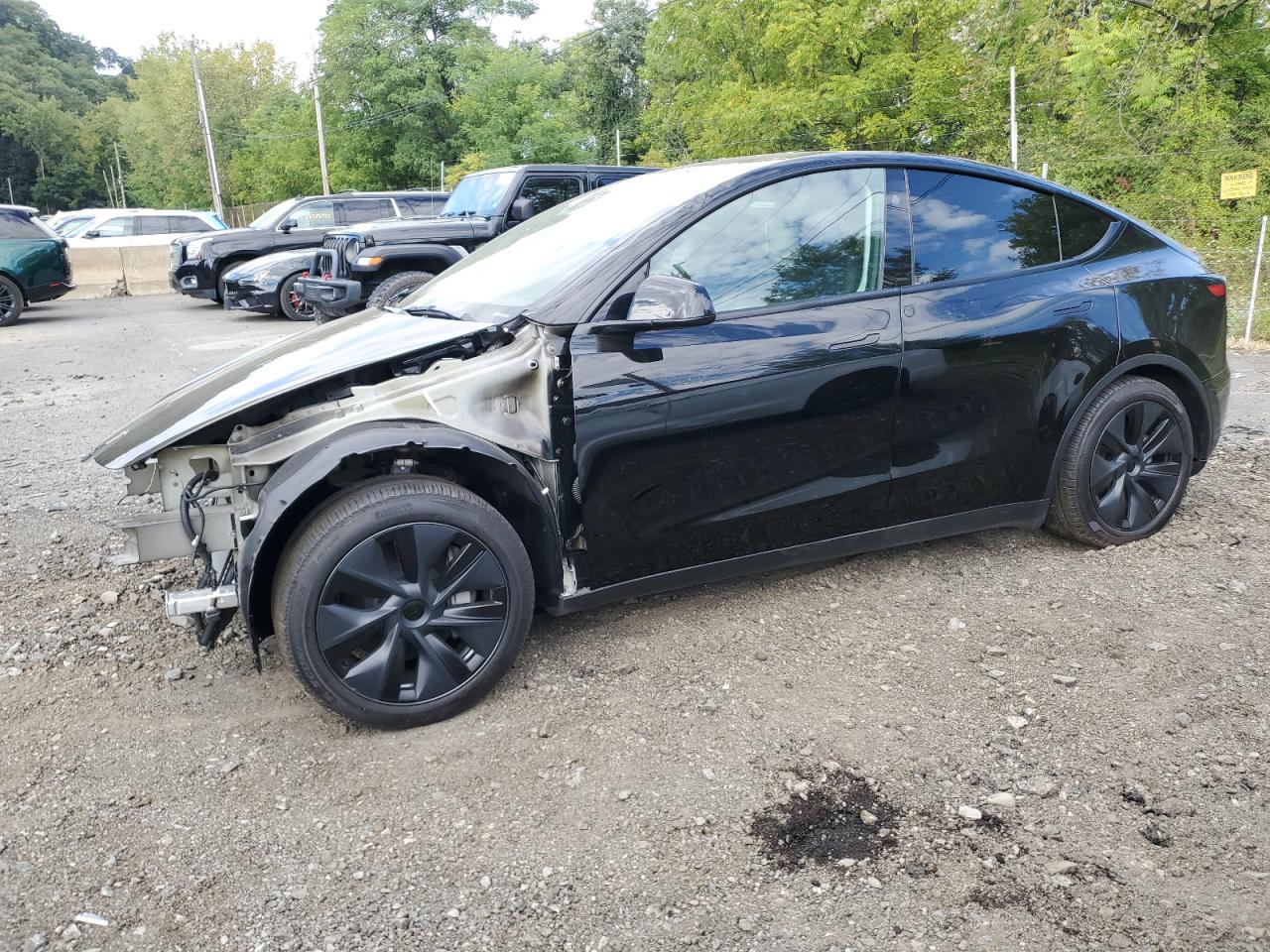 2025 Tesla Model y