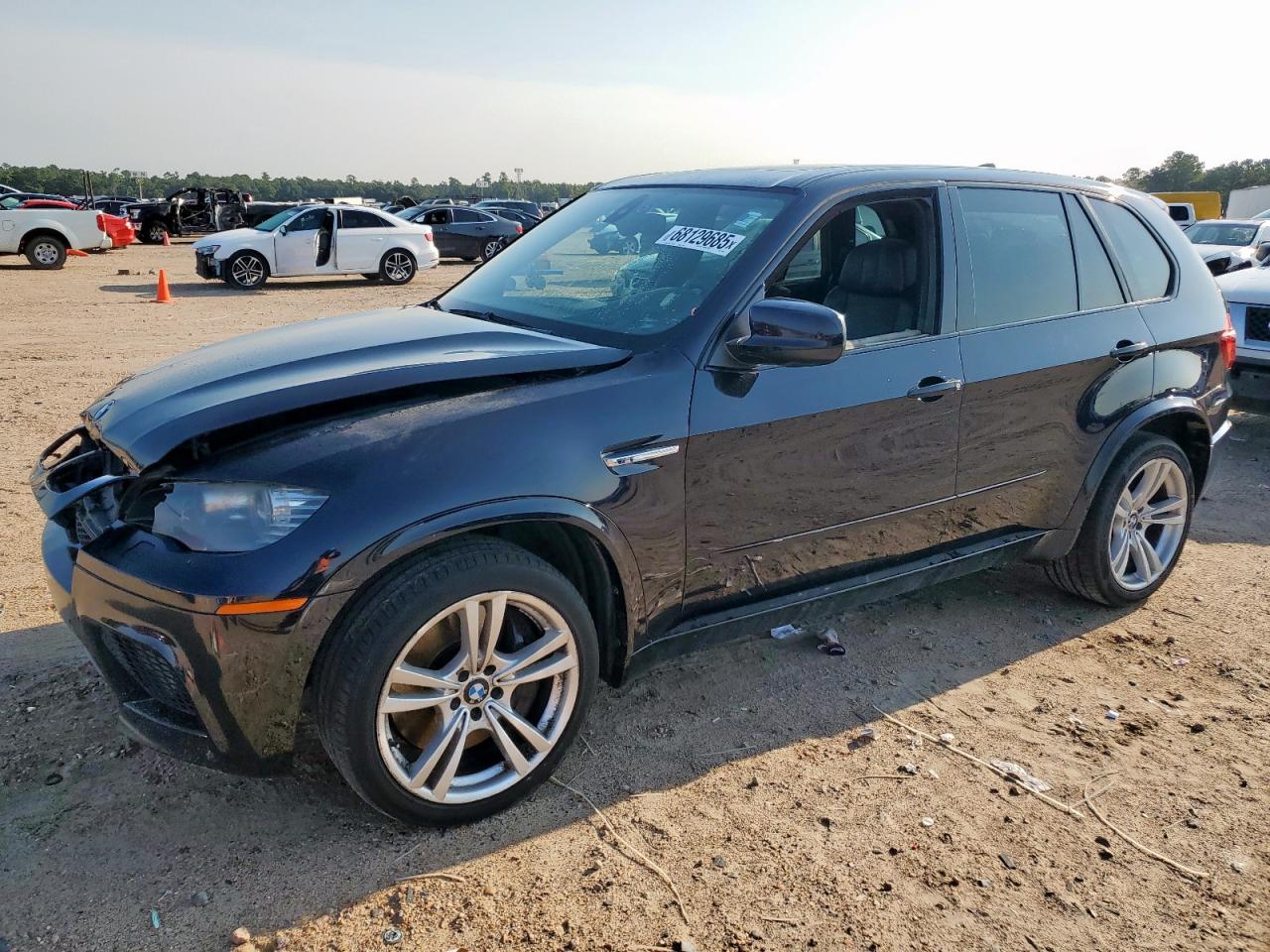 2011 BMW X5 m