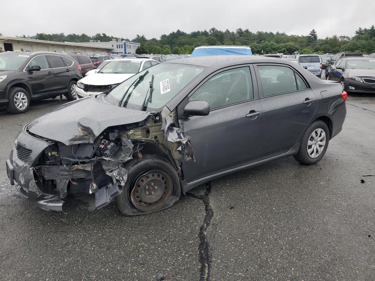 2010 Toyota Corolla ba