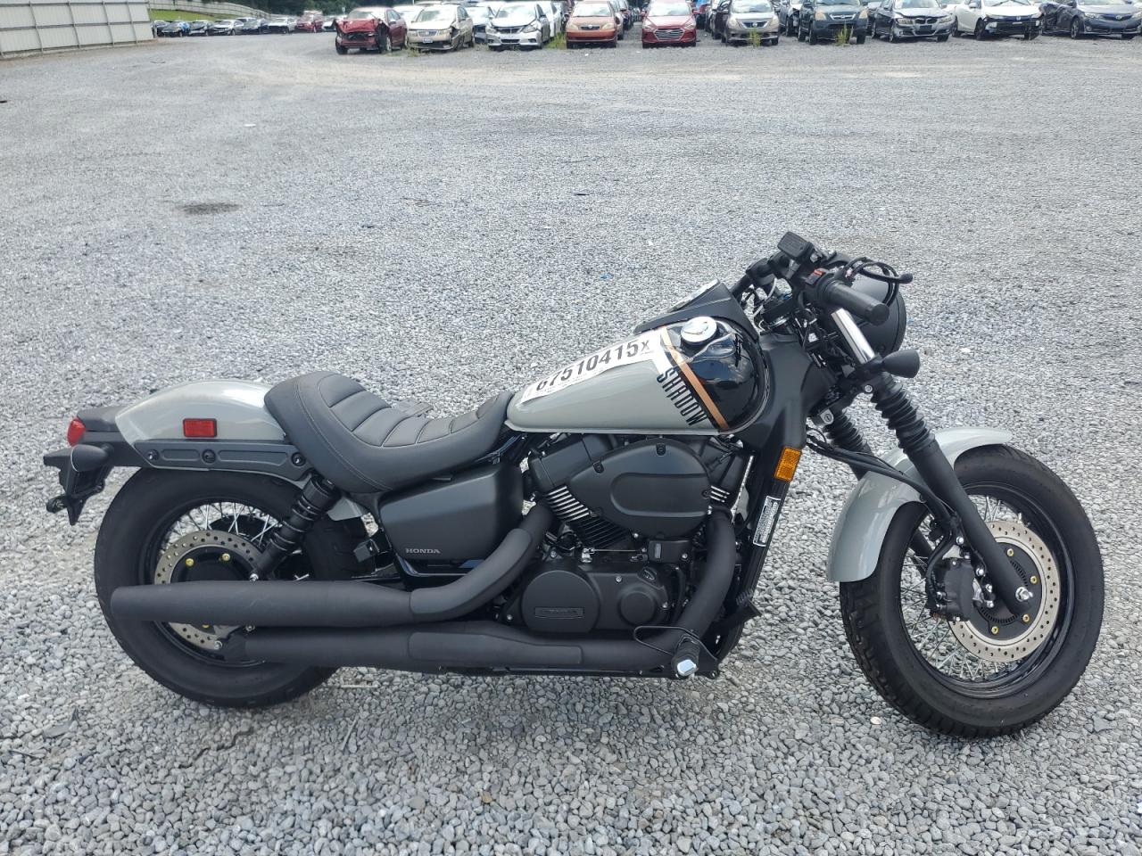 2025 Honda Vt750 c2b