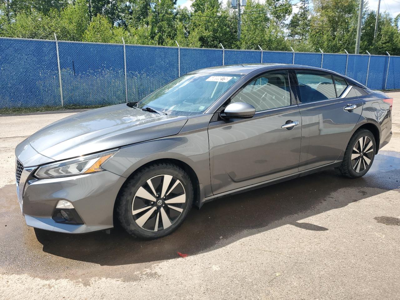 2019 Nissan Altima sv SV