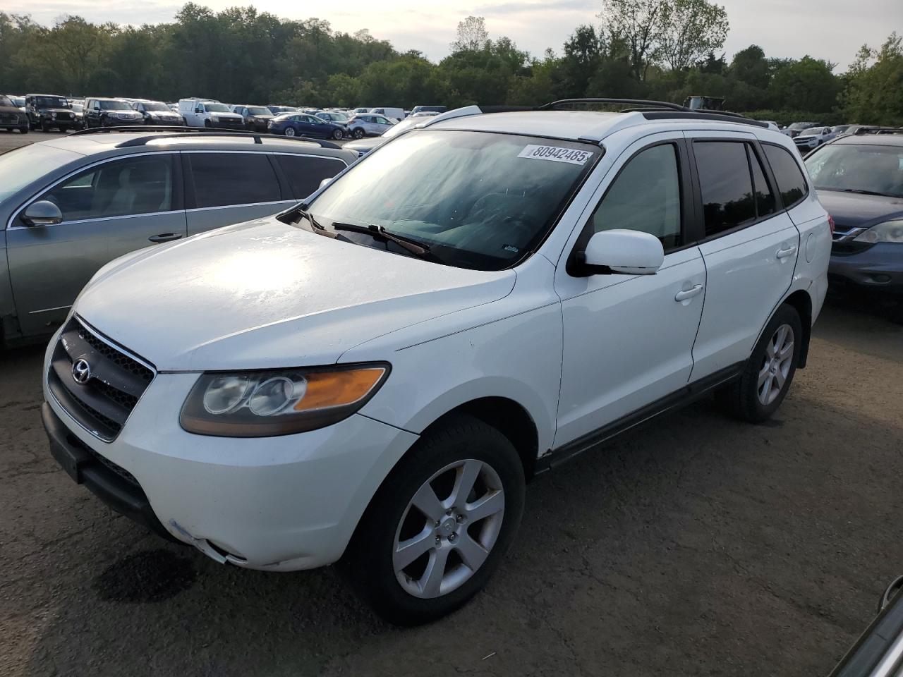 2007 Hyundai Santa fe s