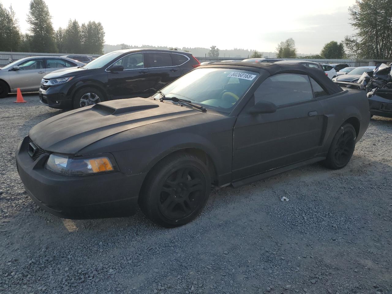 2003 Ford Mustang gt