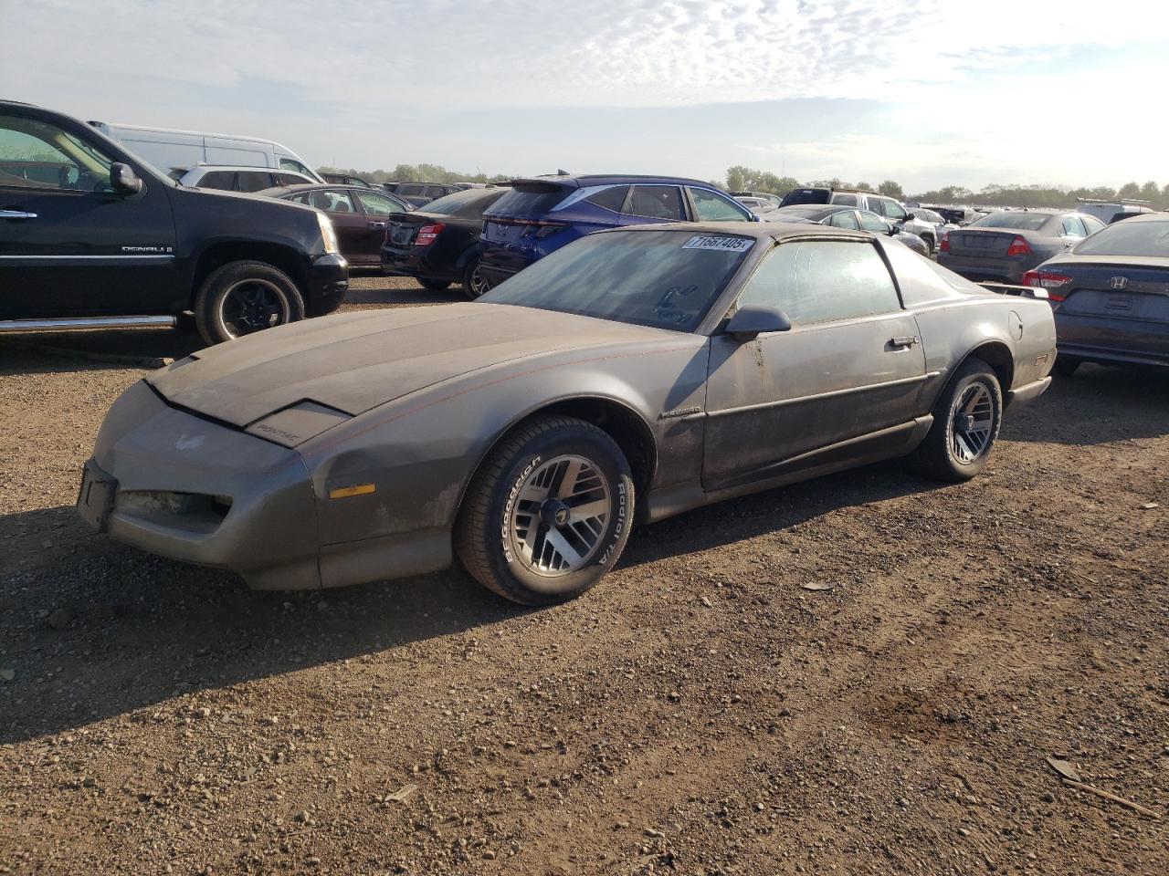 1991 Pontiac Firebird b