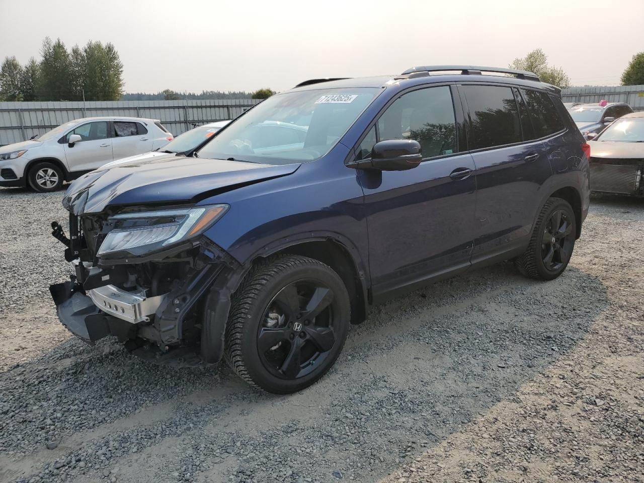 Honda Passport elite