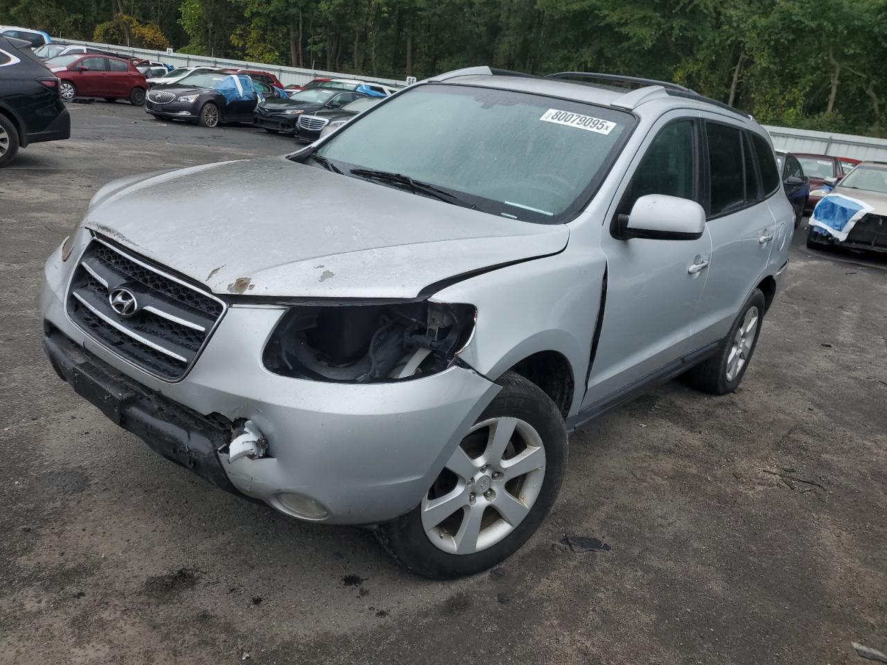 2009 Hyundai Santa fe s