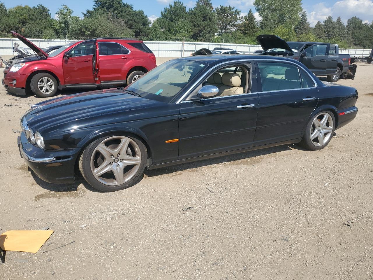 Jaguar Vandenplas