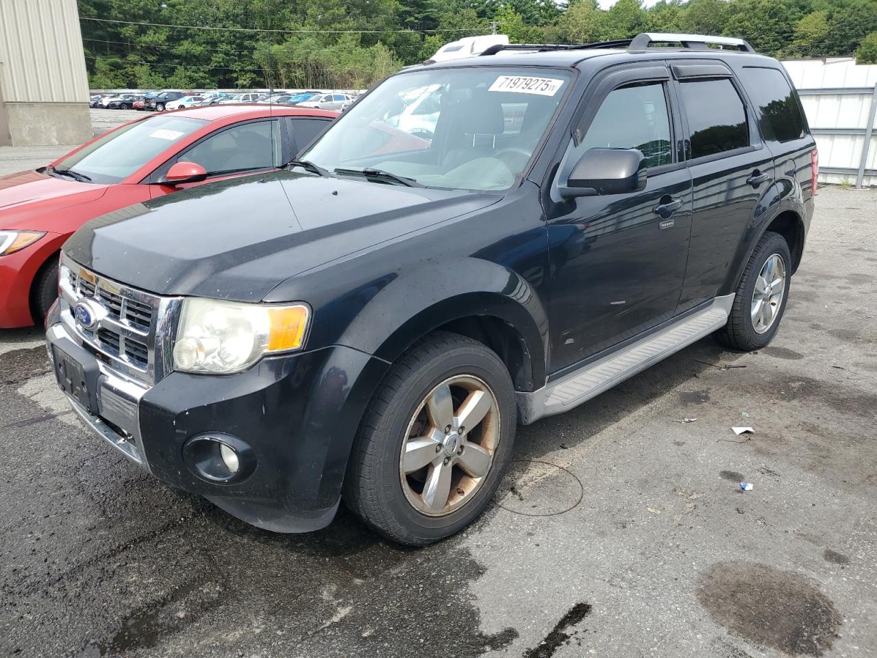 2010 Ford Escape lim