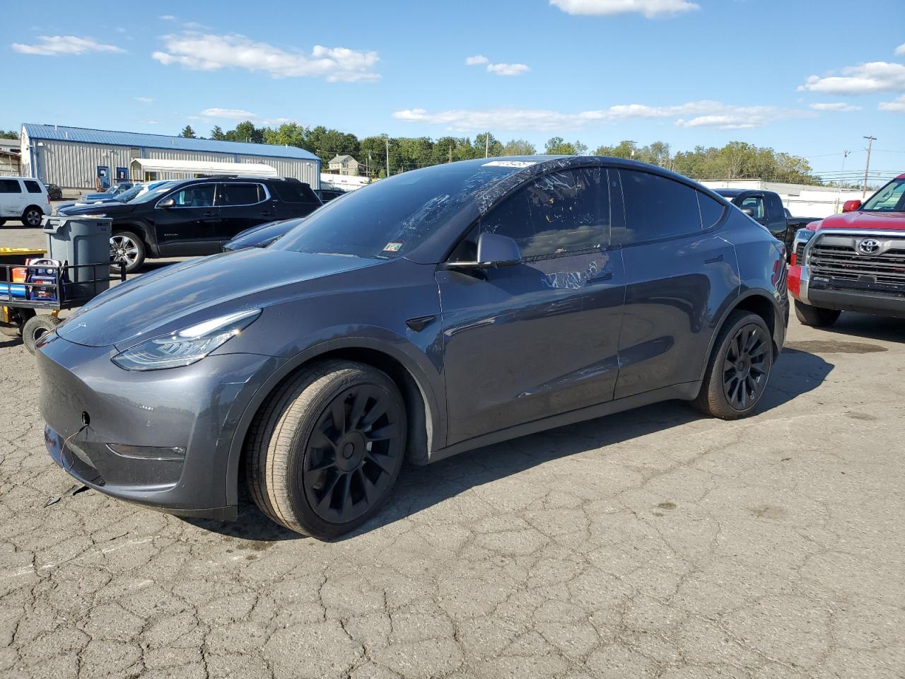 2021 Tesla Model y
