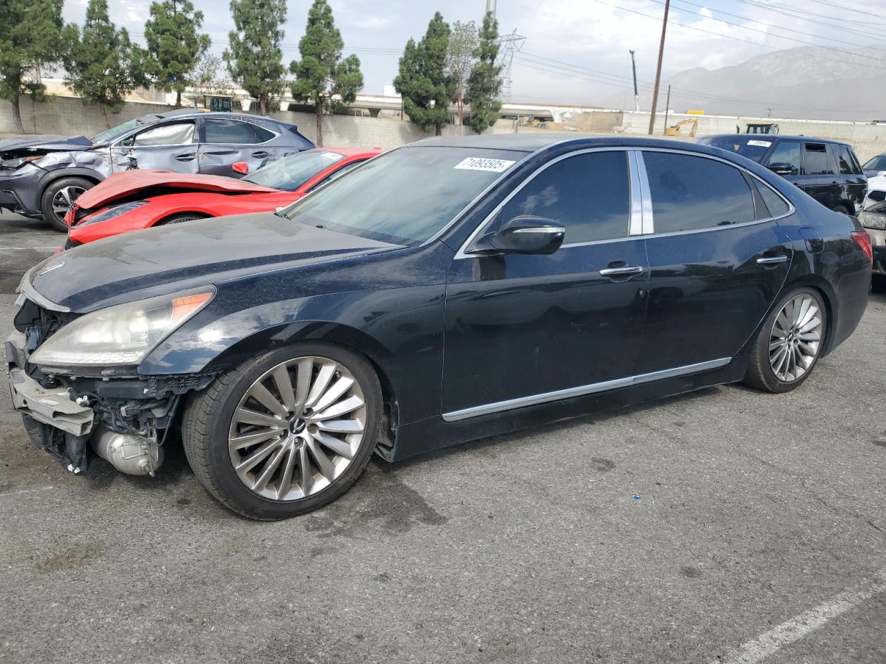 2014 Hyundai Equus sign