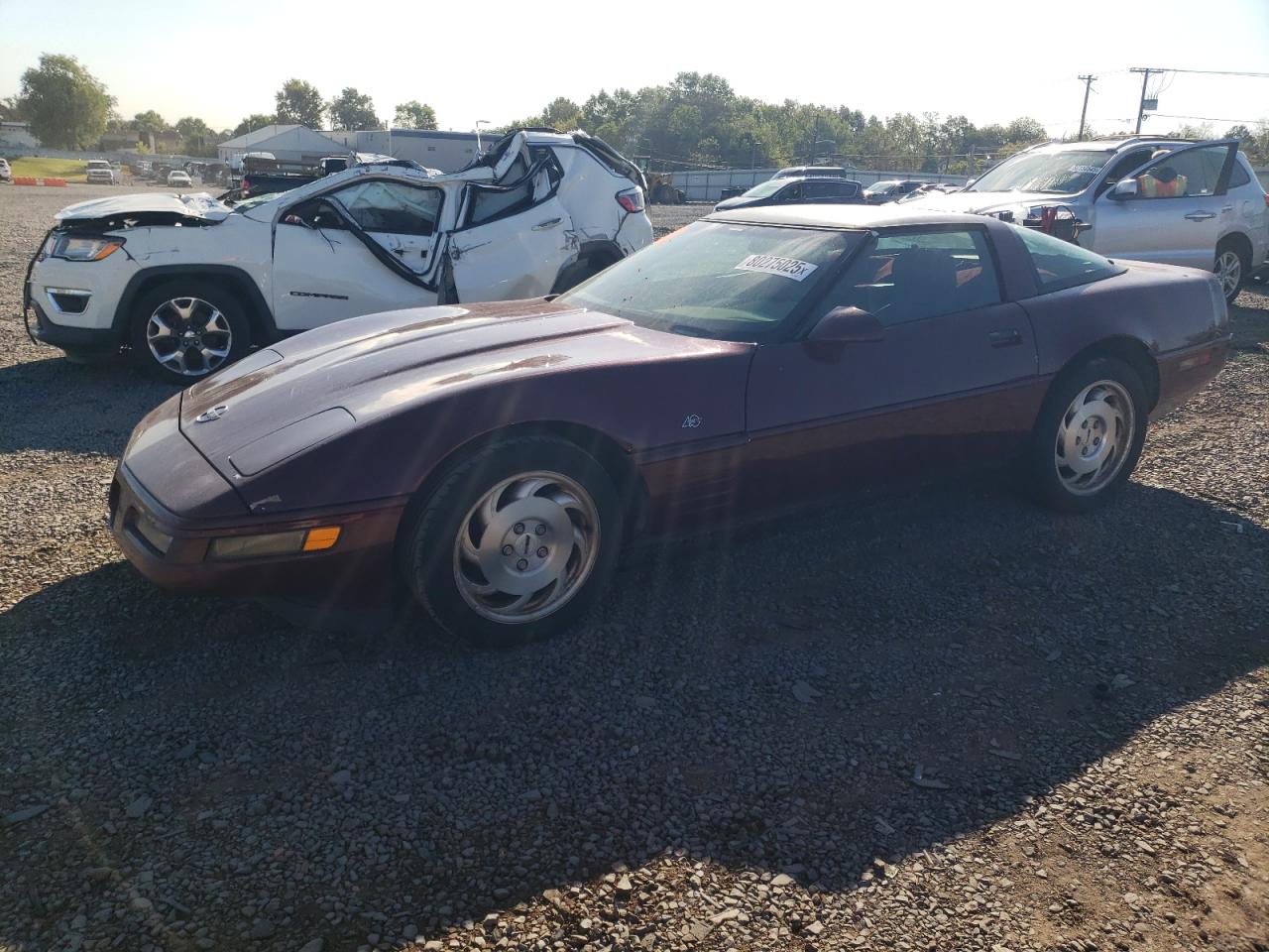 1993 Chevrolet Corvette