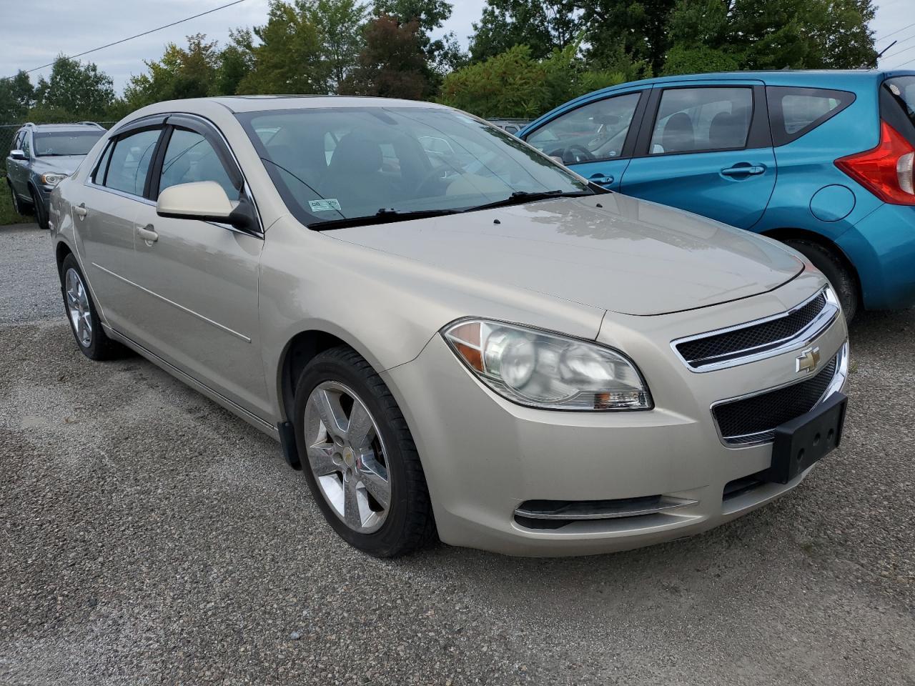 Chev Malibu 2lt