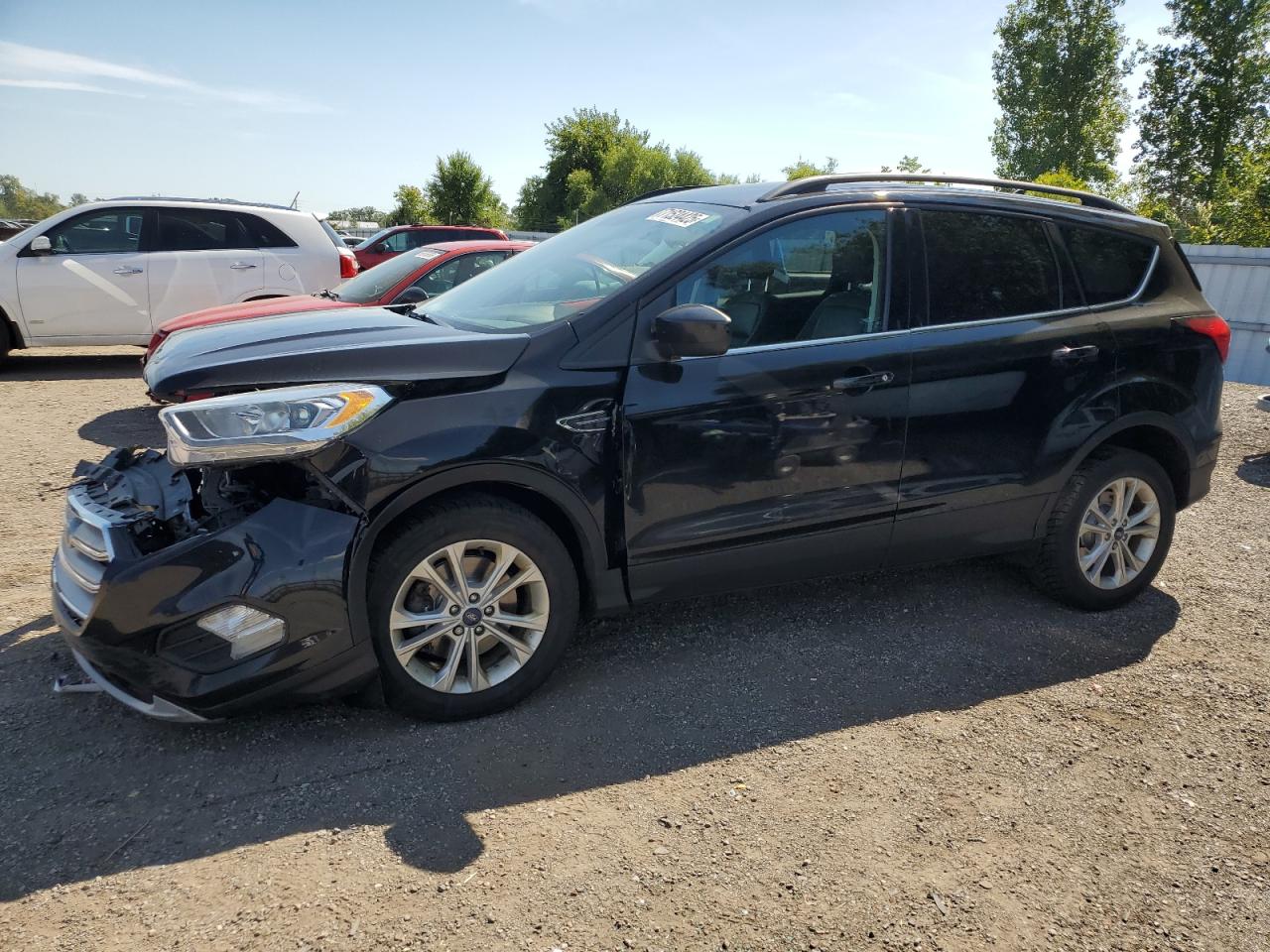 2019 Ford Escape sel
