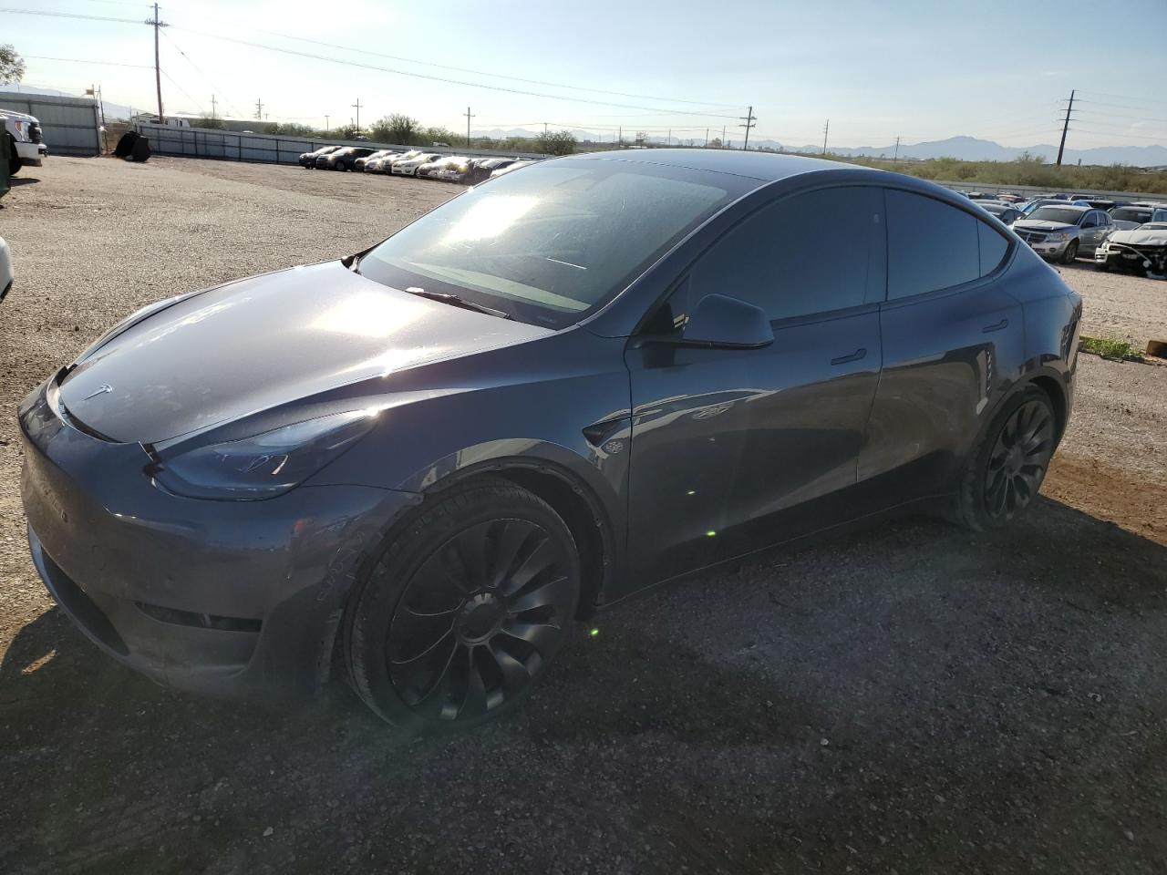 2023 Tesla Model y