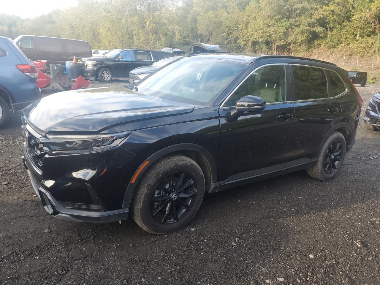 2025 Honda Cr-v sport