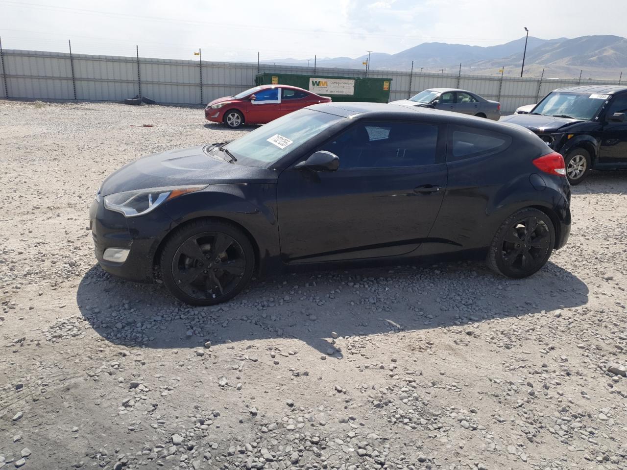 Hyun Veloster