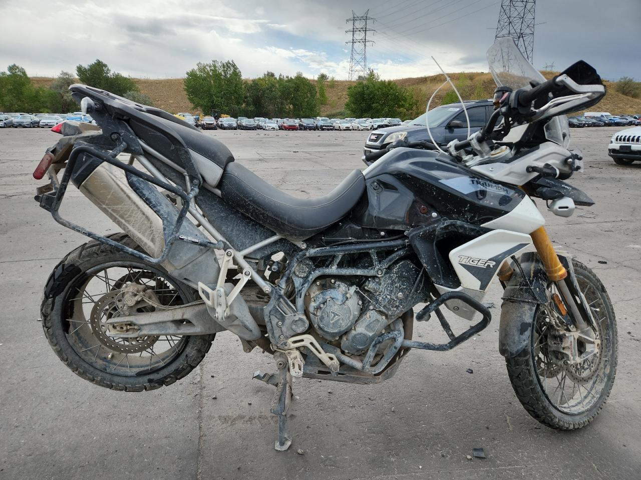 Triumph motorcycle Tiger 900 rally pro