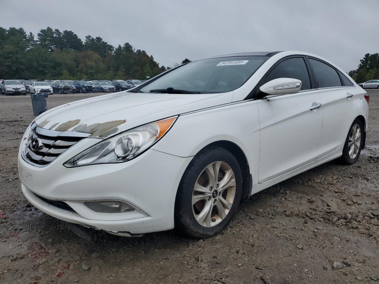 2013 Hyundai Sonata se