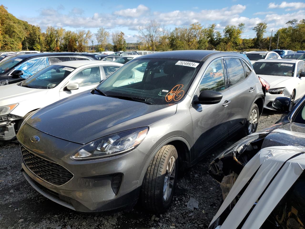 2022 Ford Escape se