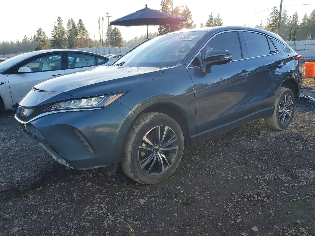 2022 Toyota Venza