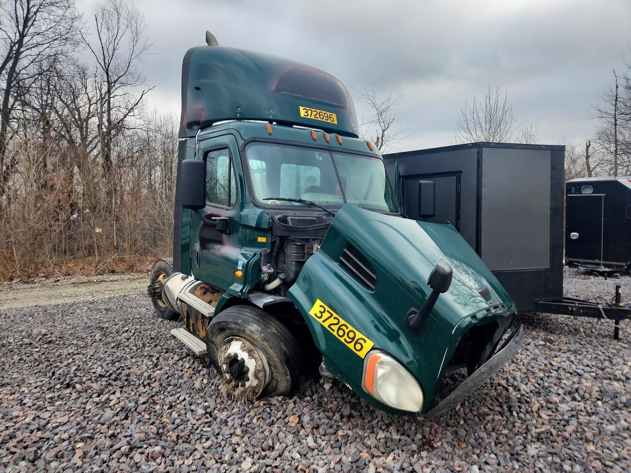 2018 Freightliner Cascadia 113