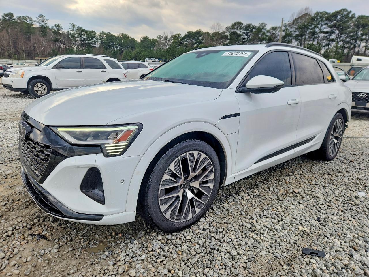 2024 Audi Q8