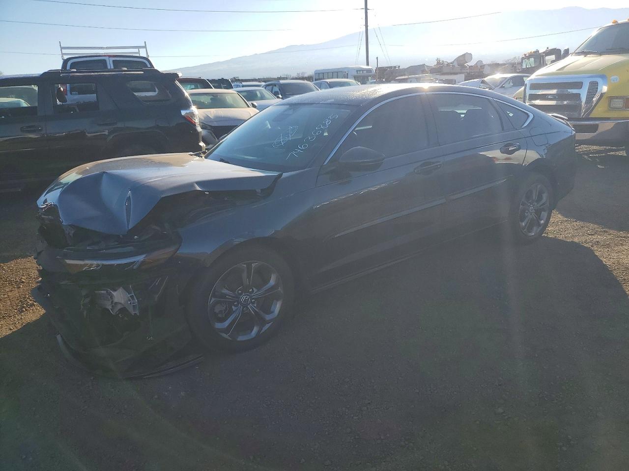 2023 Honda Accord
