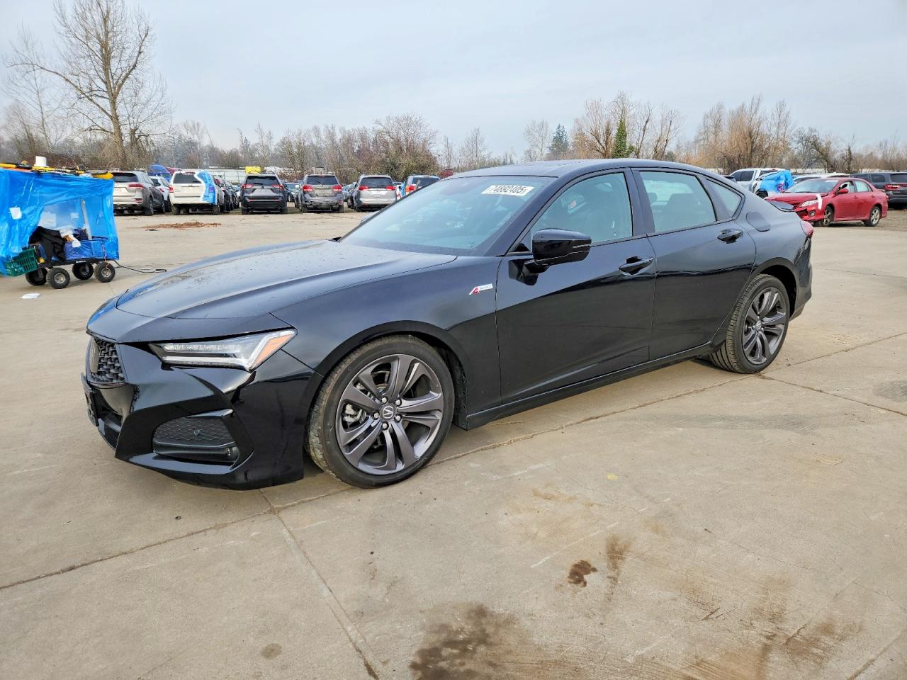 2023 Acura TLX