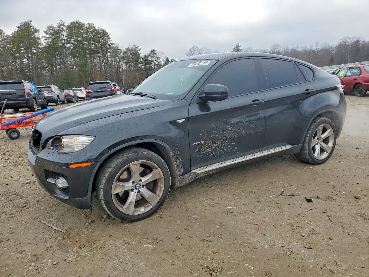 2010 BMW X6