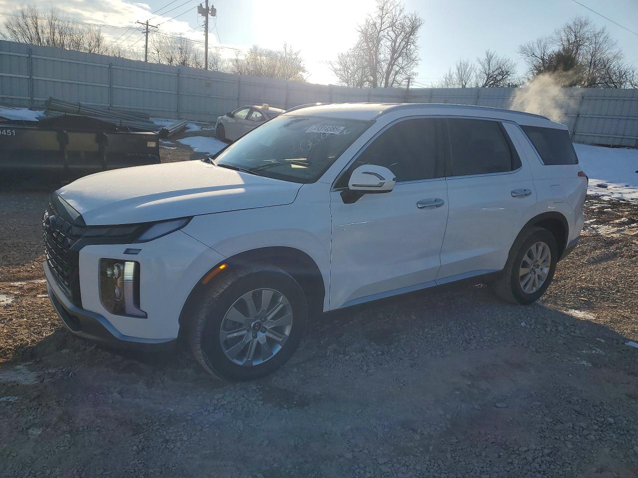 2025 Hyundai Palisade