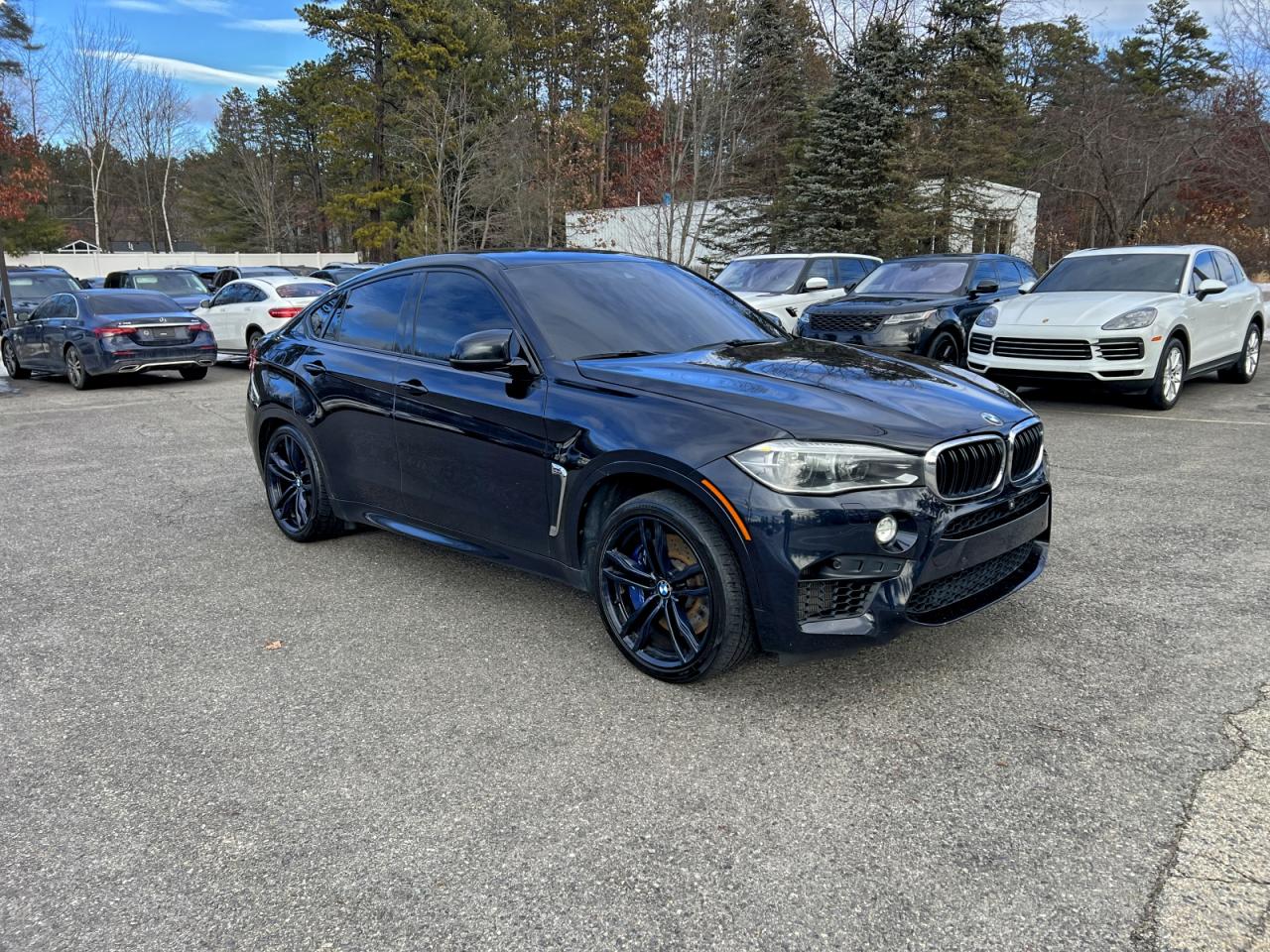 2015 BMW X6