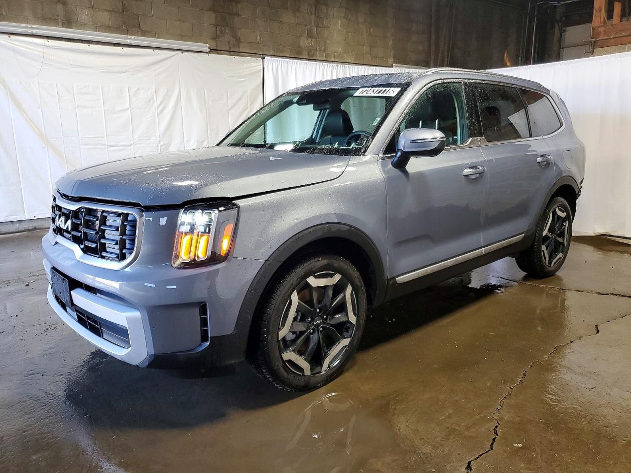 2025 Kia Telluride