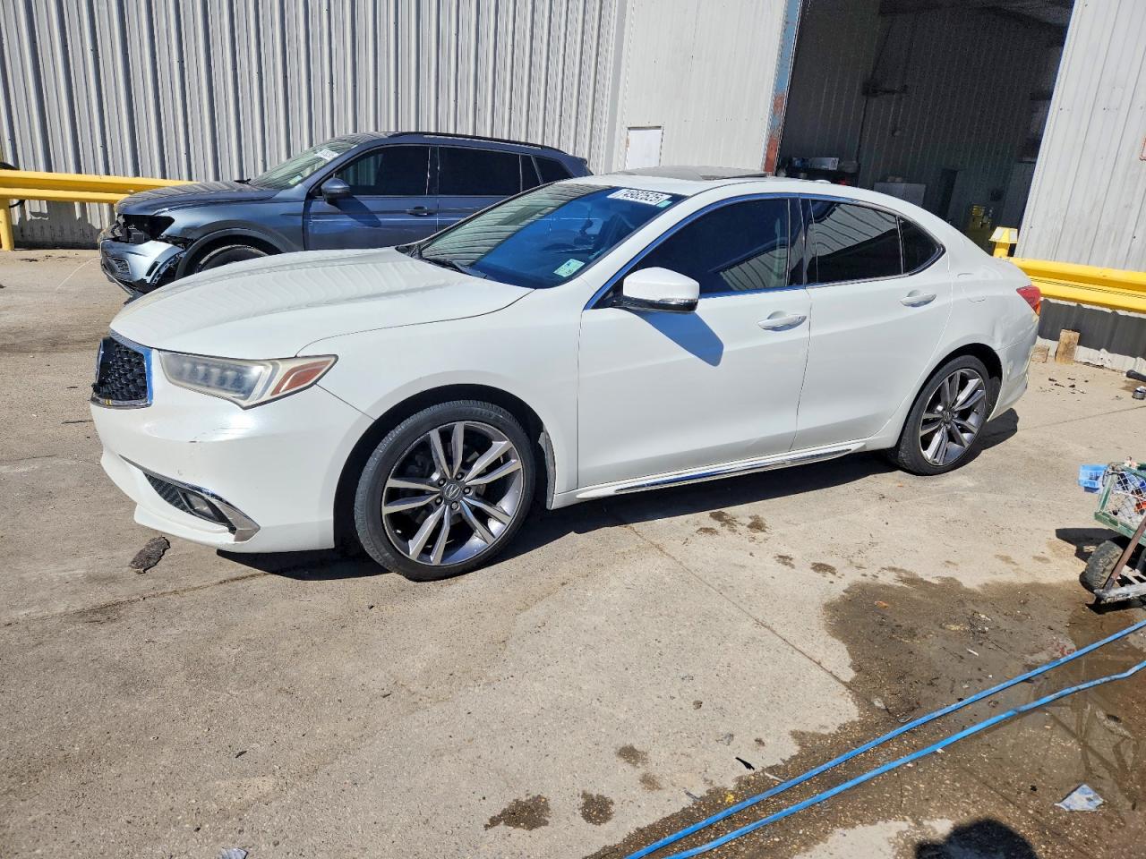 2019 Acura TLX