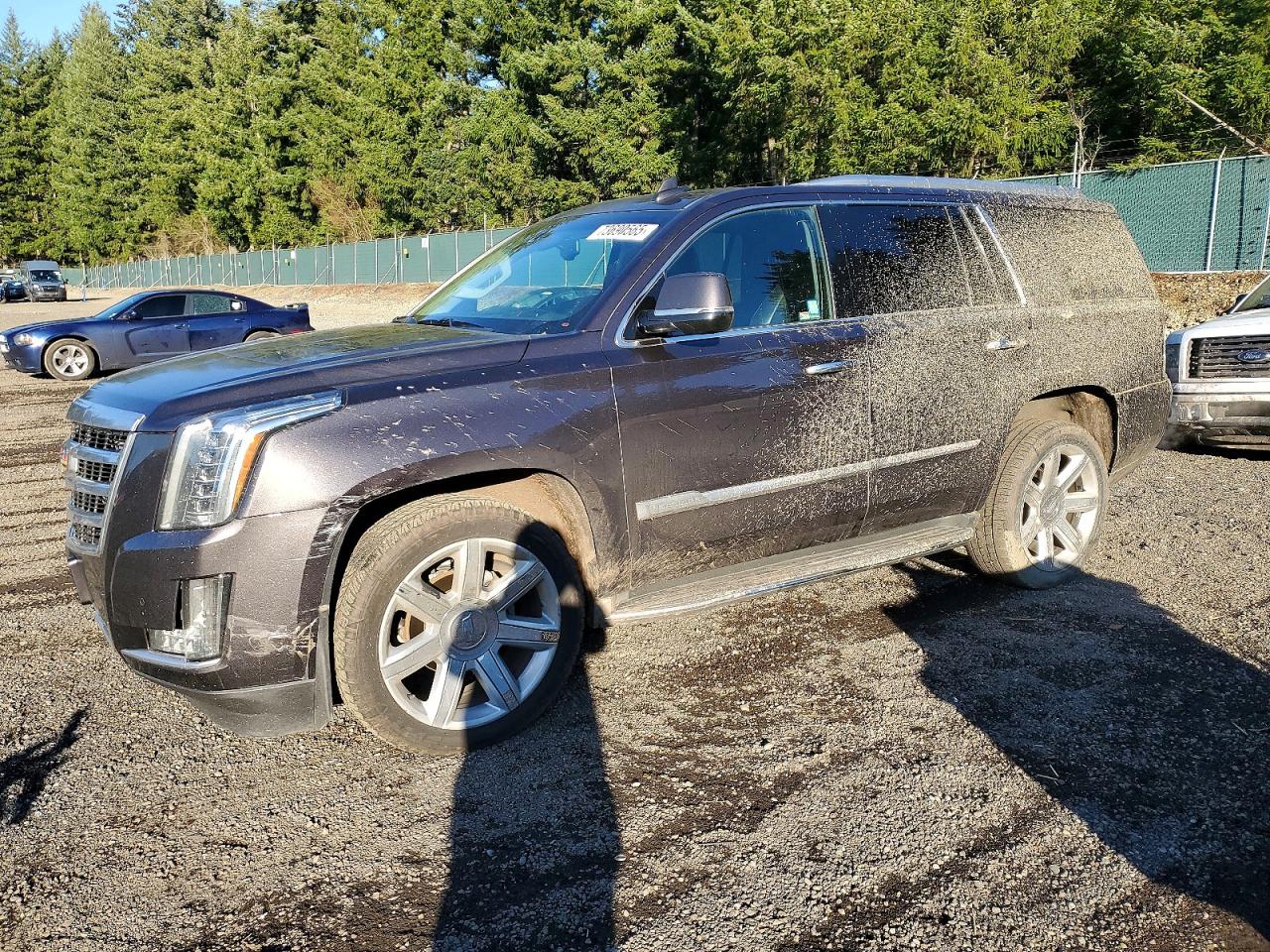 2016 Cadillac Escalade